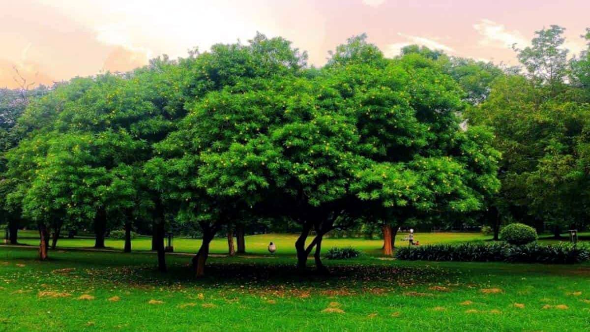 Mining sector in Rajasthan