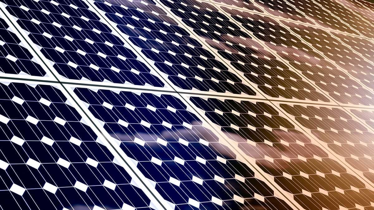 Renewable Energy Ltd