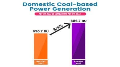 Domestic Coal