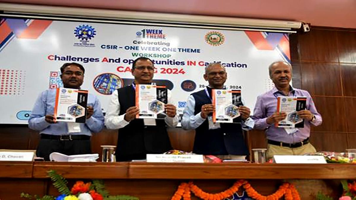 workshop on gasification