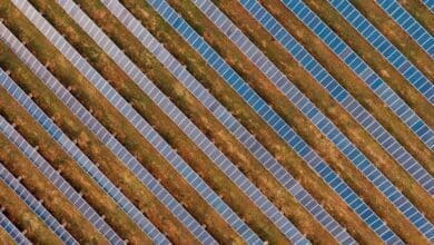 RE park in Rajasthan