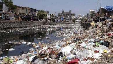 Solid Waste Management