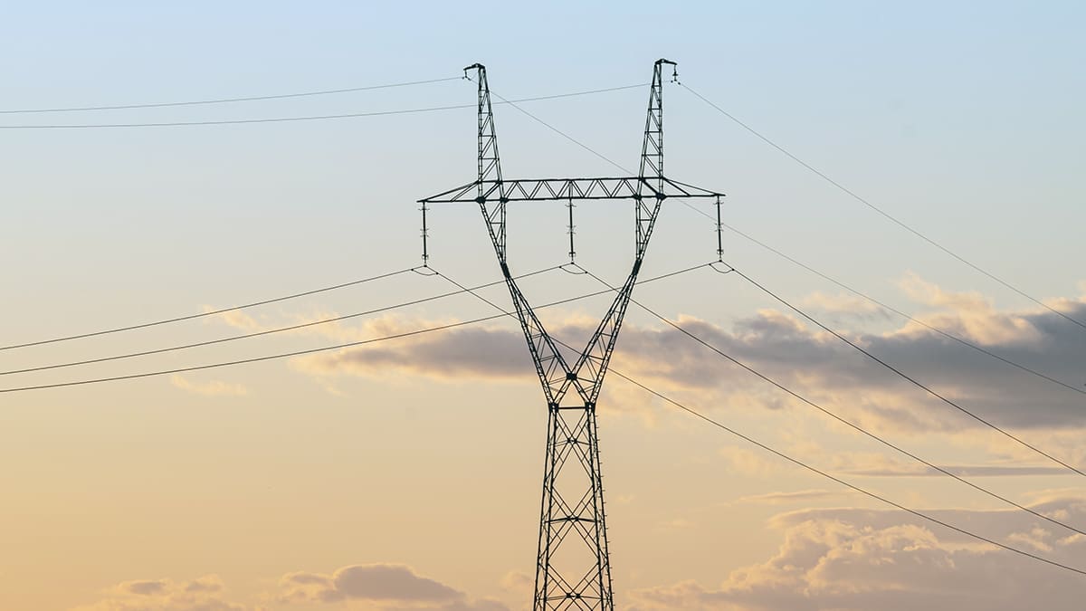 Central Electricity Authority