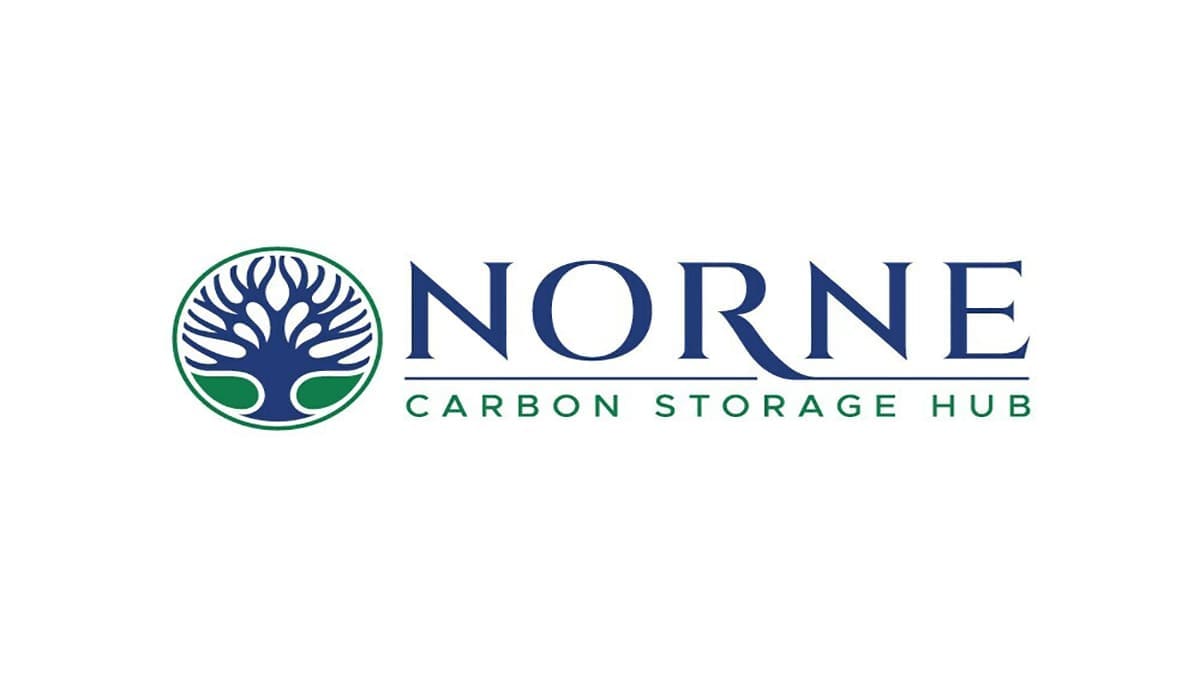Carbon storage