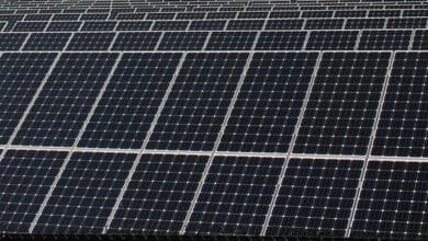 solar project in Andhra Pradesh