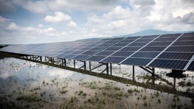 solar module plant in Gujarat